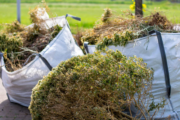 Best Professional Junk Removal  in North Granby, CT